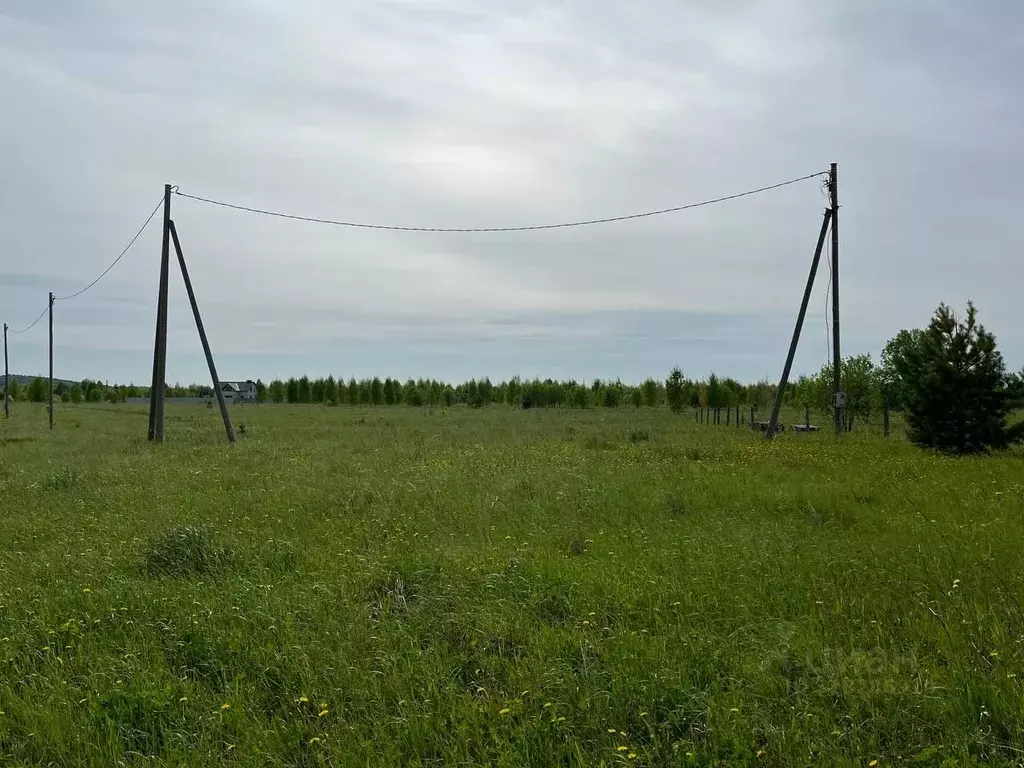 Участок в Пермский край, Осинский муниципальный округ  (23.0 сот.) - Фото 1