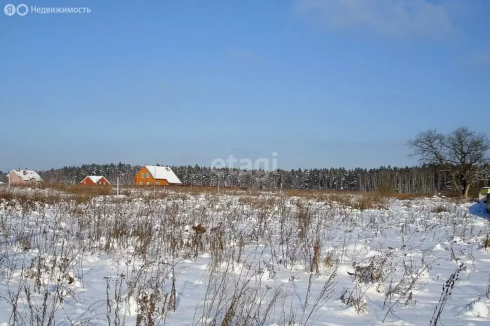 Участок в Брянский район, посёлок Мичуринский (16 м) - Фото 0