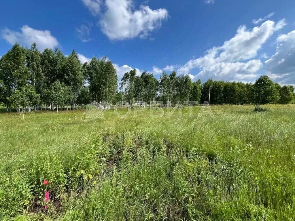 Участок в Тюменская область, Тюменский район, д. Малиновка  (7.5 сот.) - Фото 0