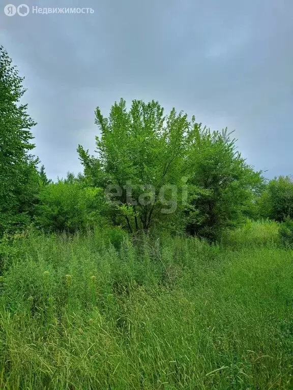 Участок в Амурская область, Благовещенск (6 м) - Фото 0