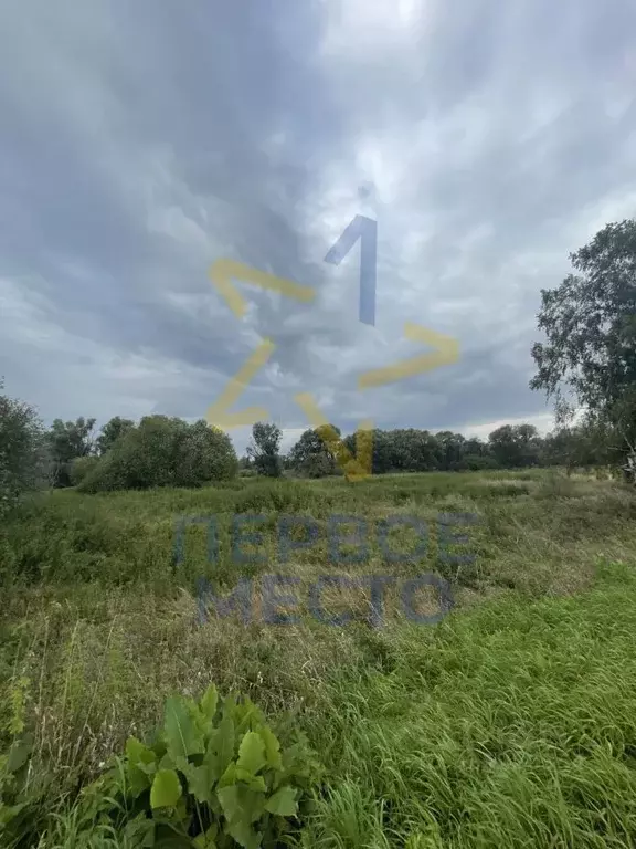 Участок в Башкортостан, Бирский район, Калинниковский сельсовет, д. ... - Фото 2