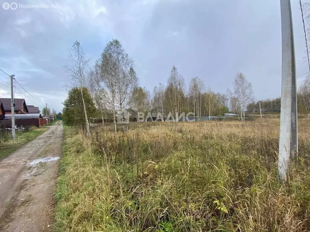 Участок в Богородский городской округ, село Новосергиево (14 м) - Фото 0