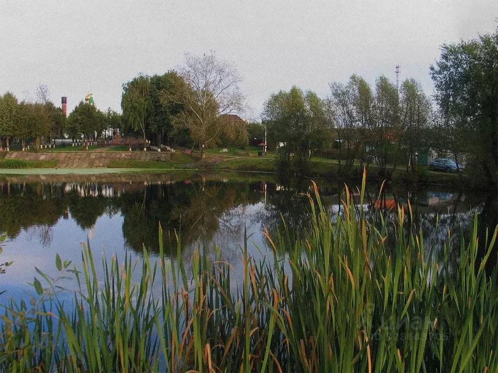 Участок в Московская область, Раменский муниципальный округ, с. ... - Фото 2