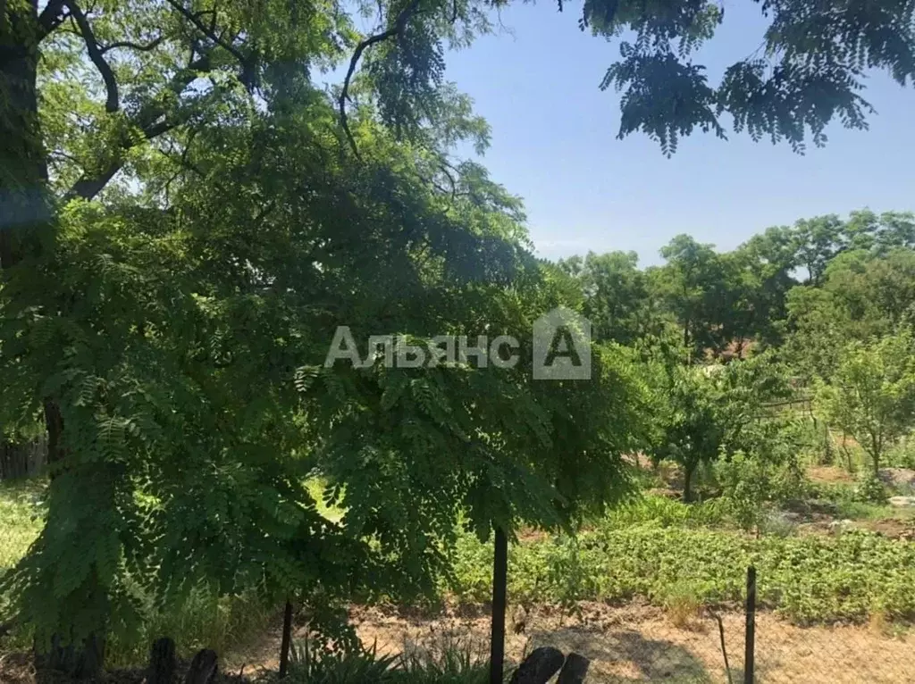 Участок в Ростовская область, Усть-Донецкий район, Раздорская ст-ца ... - Фото 1