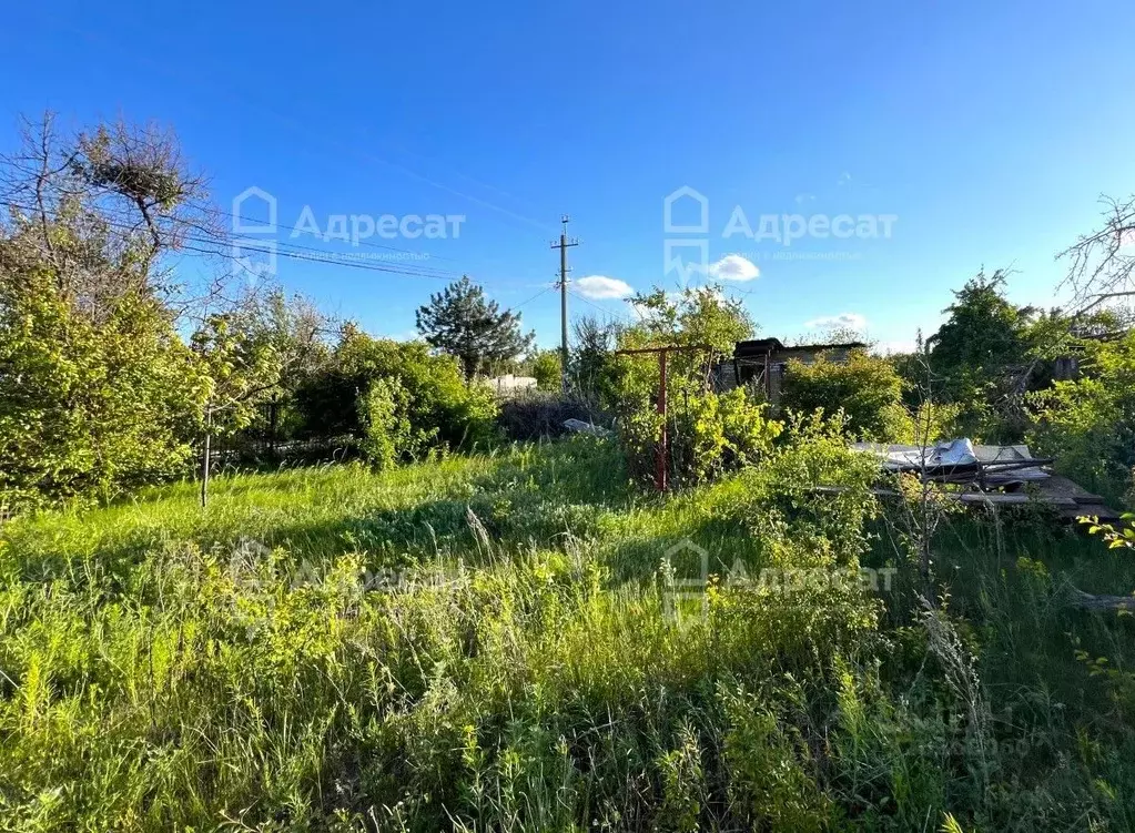 Участок в Волгоградская область, Городищенский район, Ерзовское ... - Фото 2