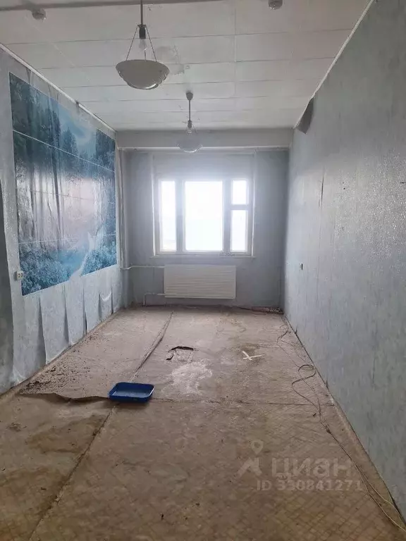 Помещение свободного назначения в Мурманская область, Апатиты ... - Фото 1