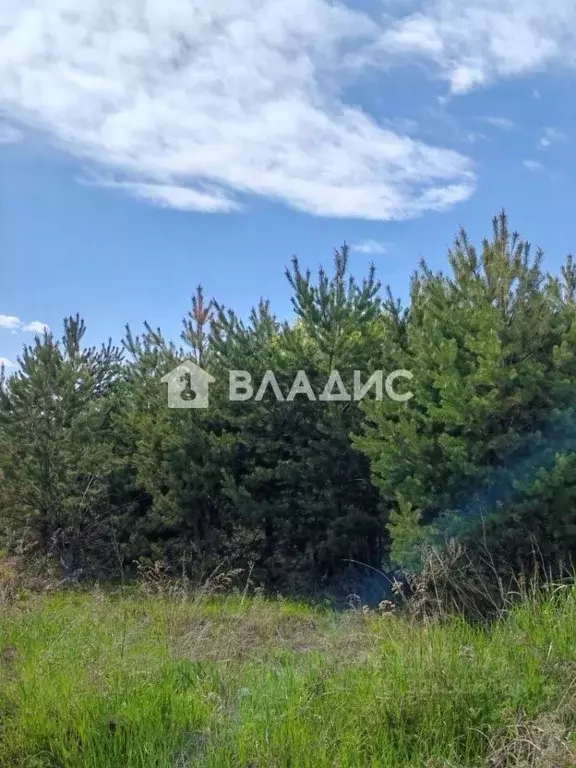 Участок в Иркутская область, Шелеховский район, Баклашинское ... - Фото 1