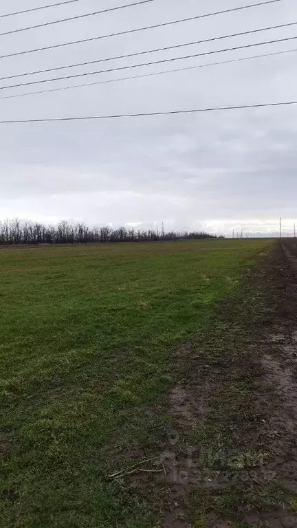 Участок в Краснодарский край, Анапа муниципальный округ, с. Джигинка ... - Фото 1