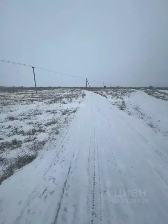 Участок в Саратовская область, Энгельсский район, Новопушкинское ... - Фото 1