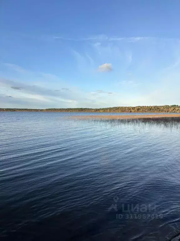 Участок в Ленинградская область, Всеволожский район, Куйвозовское ... - Фото 1