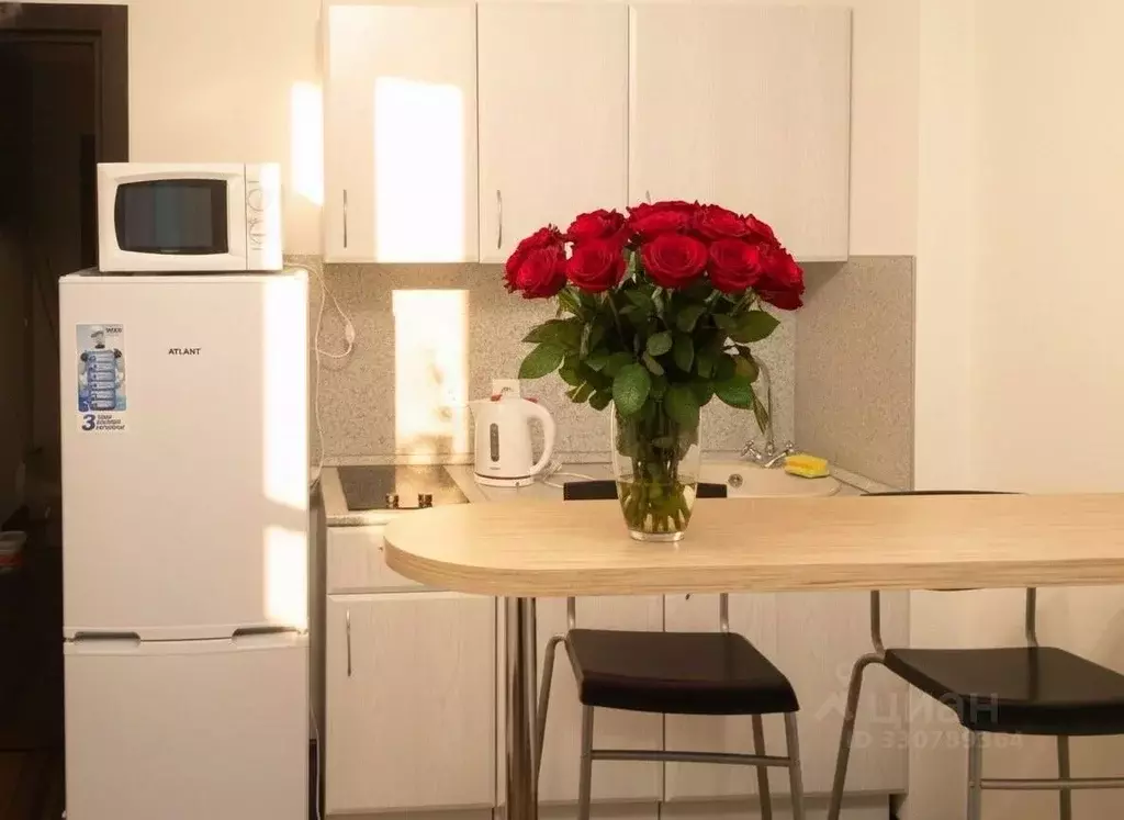 Студия Санкт-Петербург просп. Ветеранов, 171к5 (23.1 м) - Фото 1