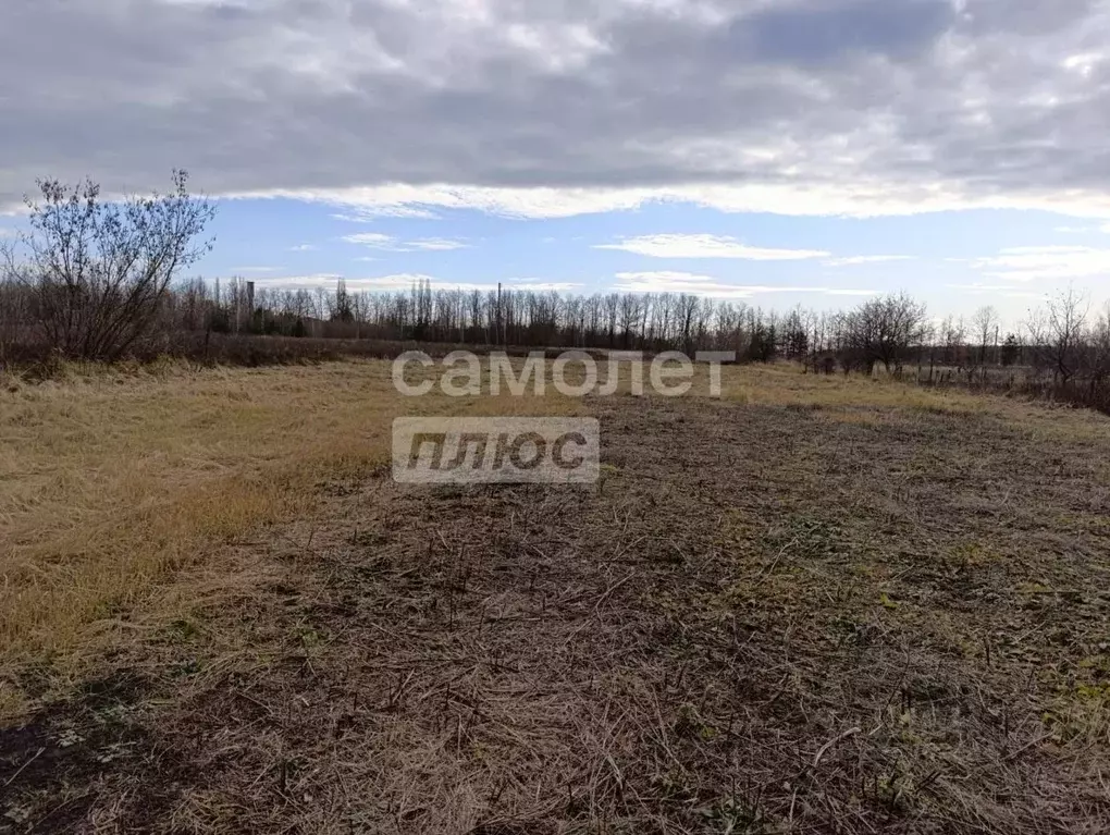 Участок в Липецкая область, Грязинский район, Карамышевский сельсовет, ... - Фото 1