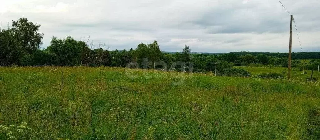 Участок в Тульская область, городской округ Тула, деревня Малёвка, 1-й ... - Фото 1