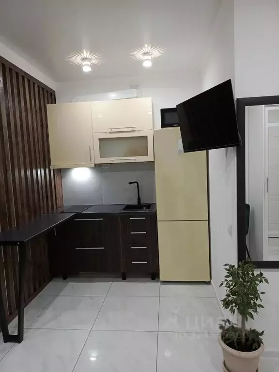 Студия Ростовская область, Ростов-на-Дону просп. Ленина, 46/2 (30.0 м) - Фото 2