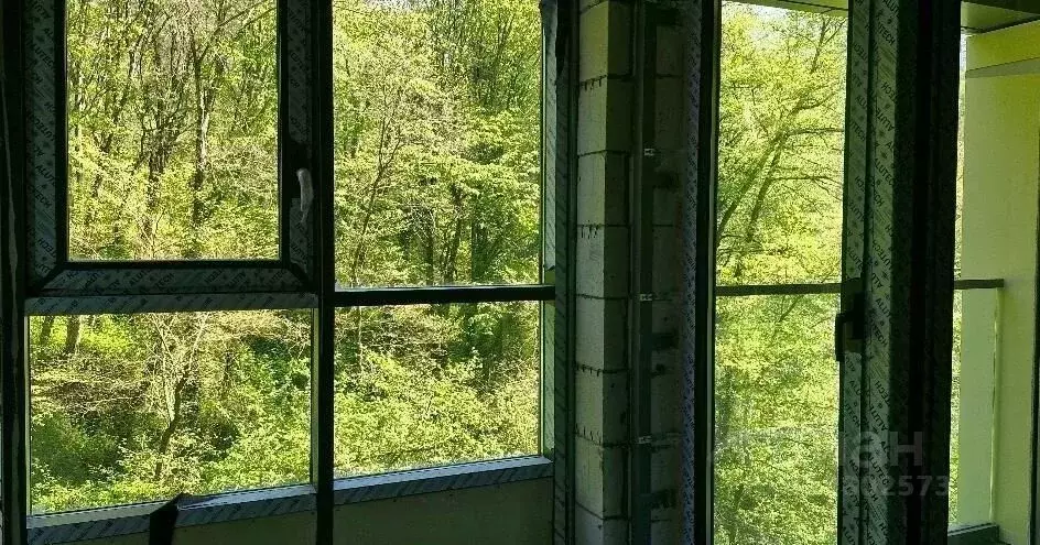 Студия Краснодарский край, Сочи Пластунская ул., 104А (25.64 м) - Фото 1