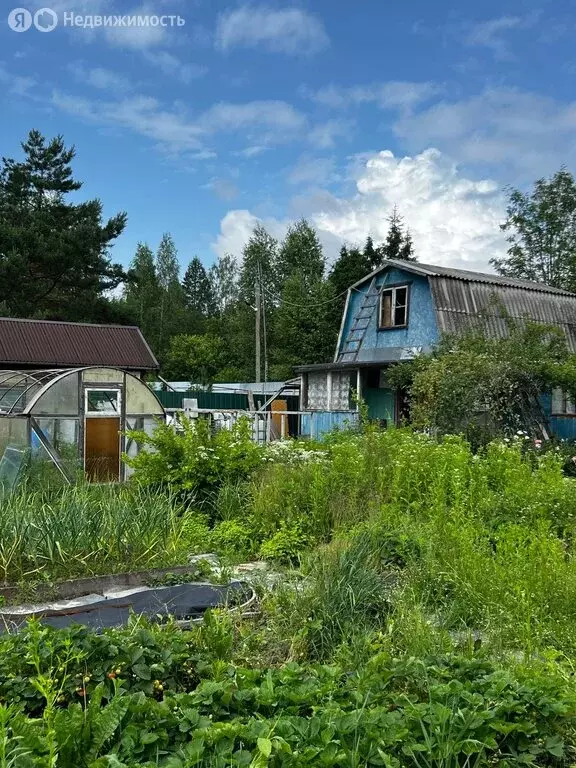 Дом в сельское поселение Большие Козлы, садоводческое некоммерческое ... - Фото 0