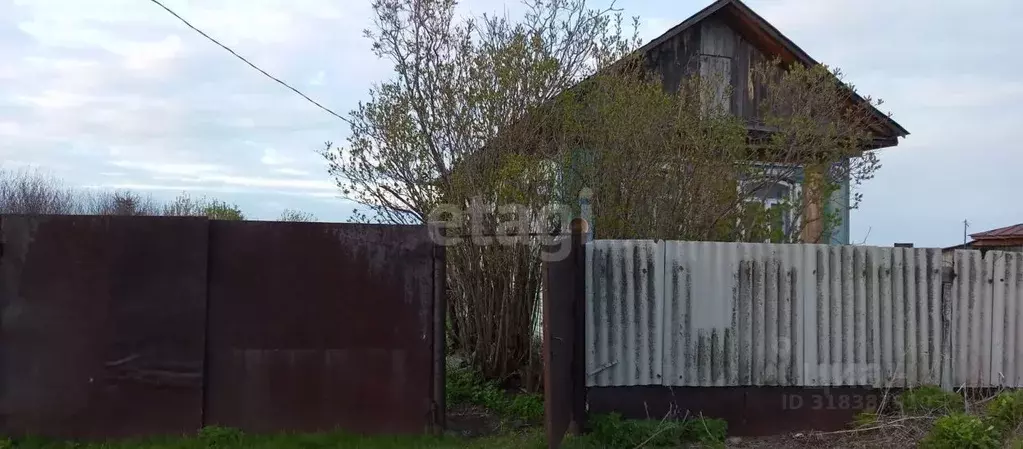 Дом в Курганская область, Шадринский муниципальный округ, д. Тюрикова ... - Фото 1