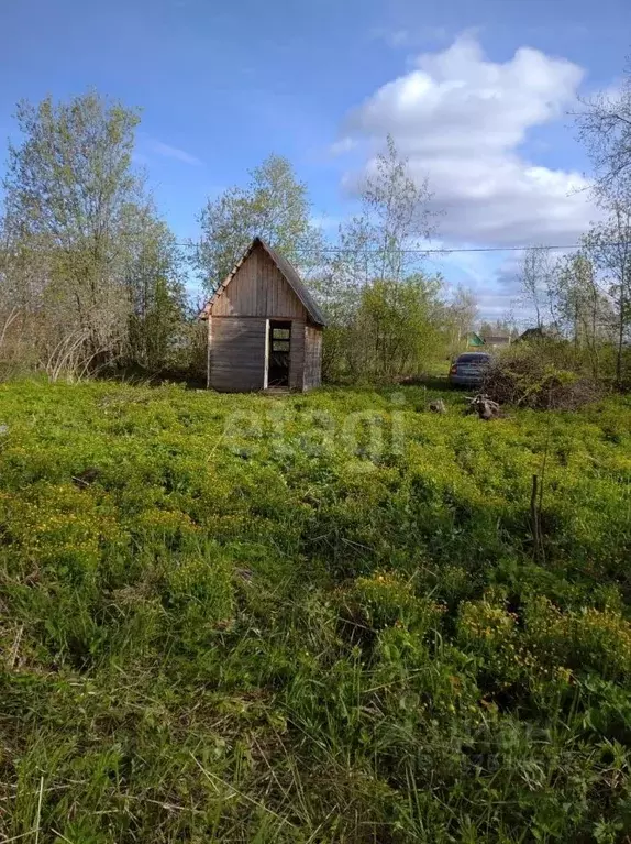 Дом в Вологодская область, Шекснинский район, Нифантовское с/пос, ... - Фото 1