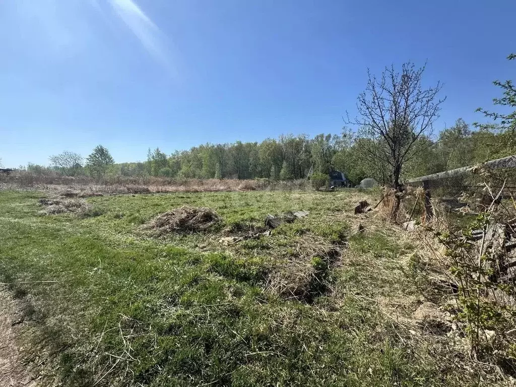Участок в Хабаровский край, Хабаровск Урожай садовое товарищество, 110 ... - Фото 1