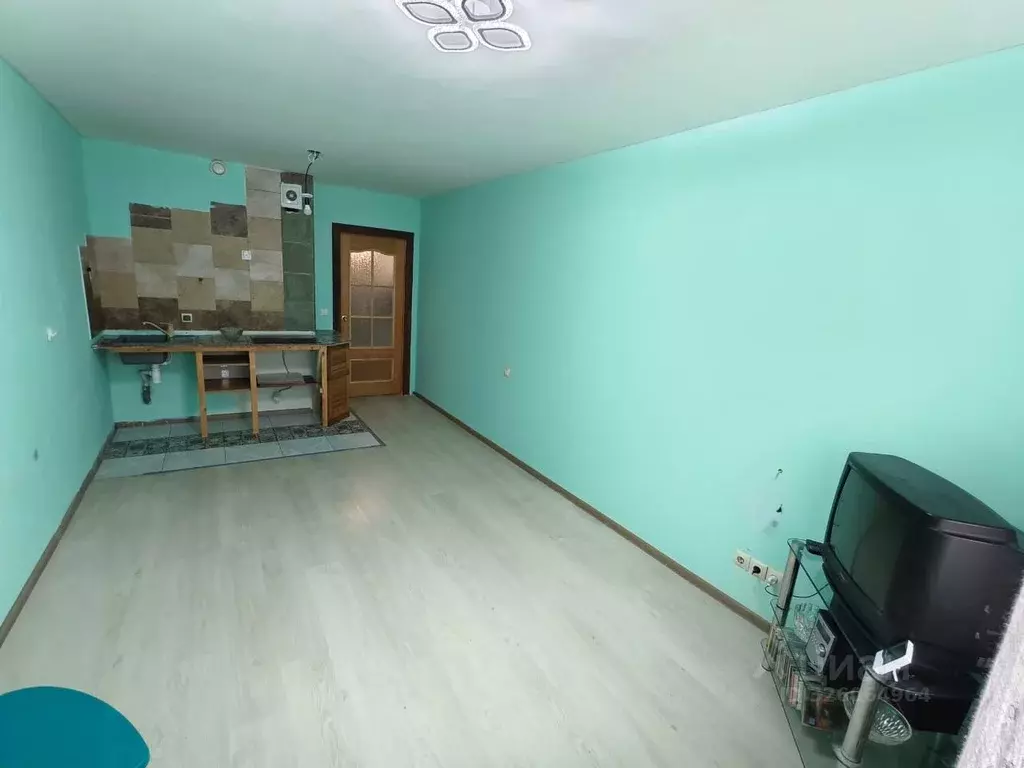 Студия Ленинградская область, Ломоносовский район, д. Низино ул. ... - Фото 2