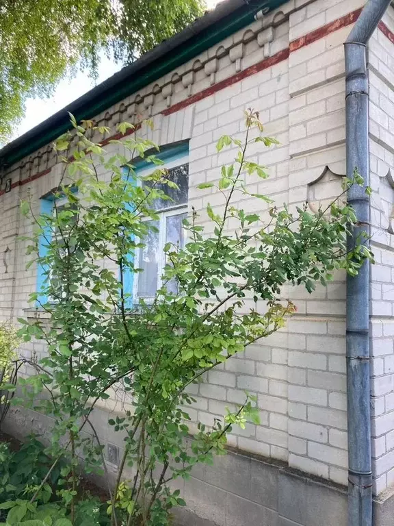 Дом 40 м на участке 4,5 сот. - Фото 1
