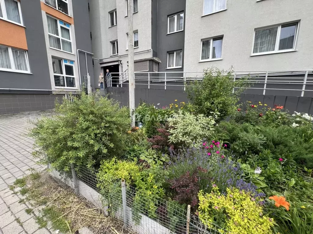1-к кв. Калининградская область, Калининград Елизаветинская ул., 5 ... - Фото 0