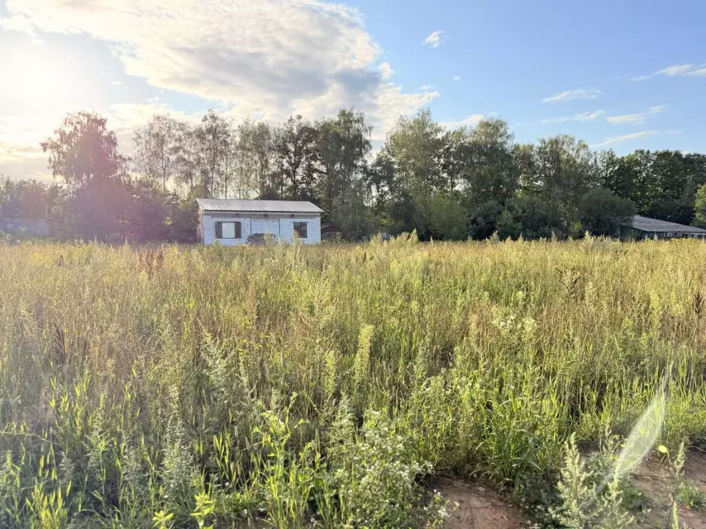 Участок в Московская область, Пушкино Заветы Ильича мкр, ул. Красина ... - Фото 2