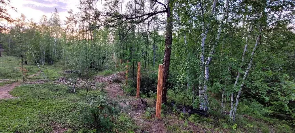Участок в Якутск, Вилюйский тракт (7 м) - Фото 1