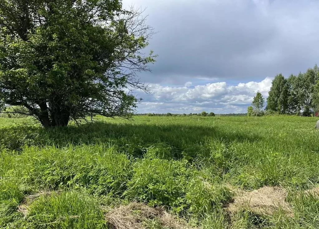 Участок в Московская область, Талдомский городской округ, д. Игумново  ... - Фото 2