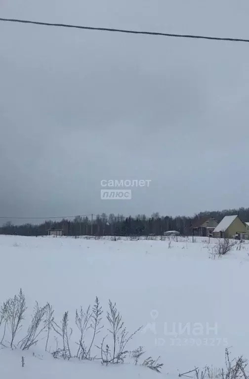 Участок в Башкортостан, Нуримановский район, Новокулевский сельсовет, ... - Фото 2