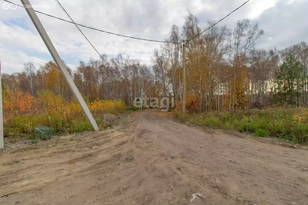 Участок в Тюмень, садовое общество Поляна (13.5 м) - Фото 1