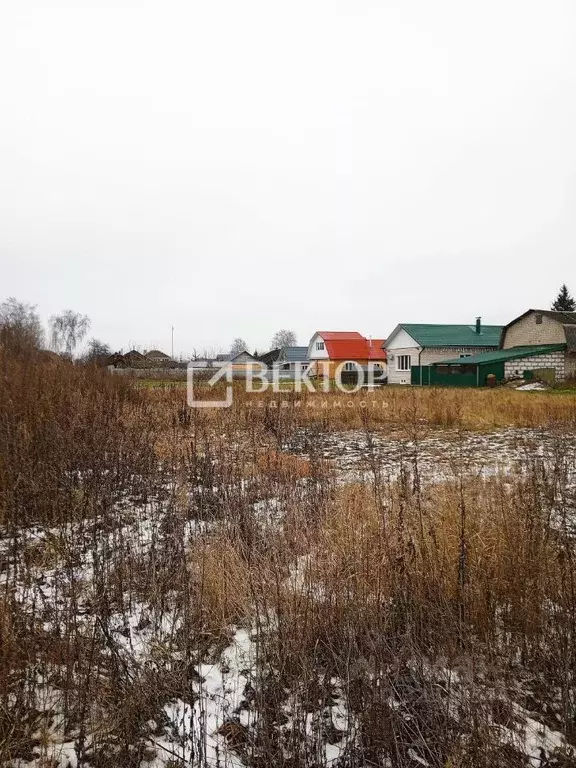 Участок в Костромская область, Костромской район, Шунгенское с/пос, д. ... - Фото 2