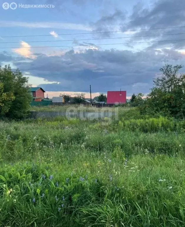 Участок в Бердск, садоводческое некоммерческое товарищество Луговое-1 ... - Фото 0