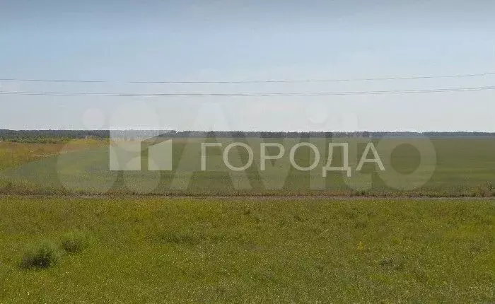 Участок 6,6 сот. (СНТ, ДНП) - Фото 1