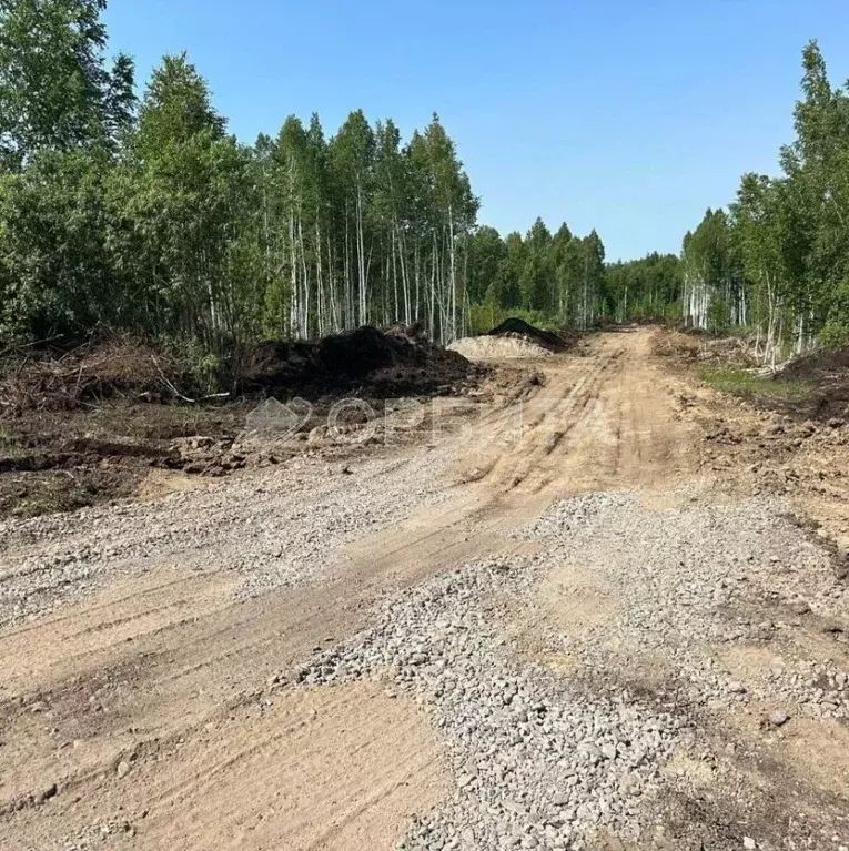 Участок в Тюменская область, Нижнетавдинский район, Строитель ТСН ул. ... - Фото 0