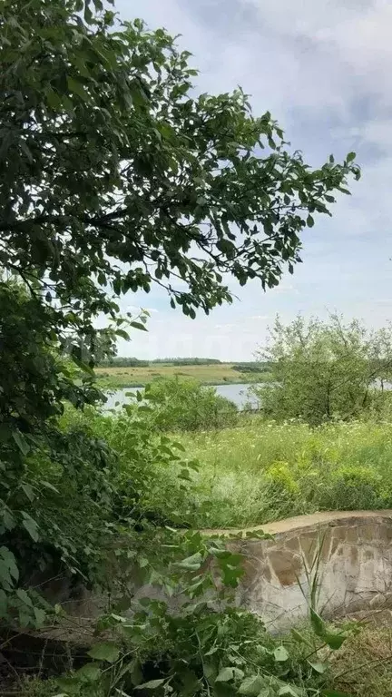 Участок в Ростовская область, Неклиновский район, Синявское с/пос, ... - Фото 2