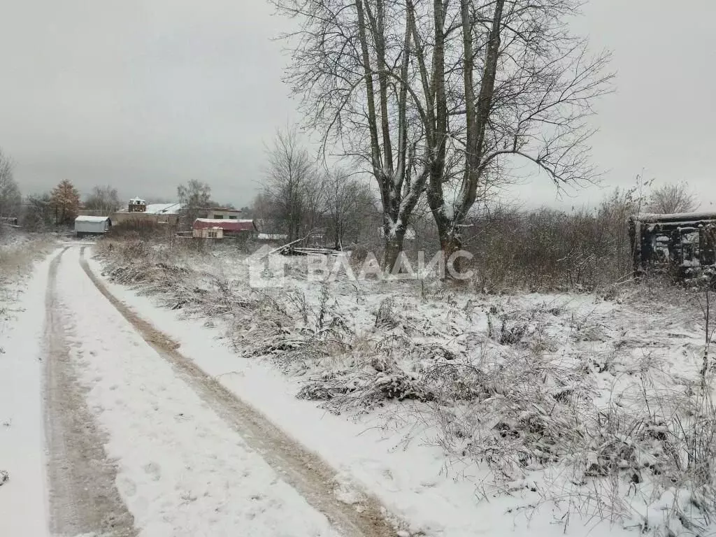 Участок в Владимирская область, Вязниковский район, пос. Никологоры ... - Фото 1