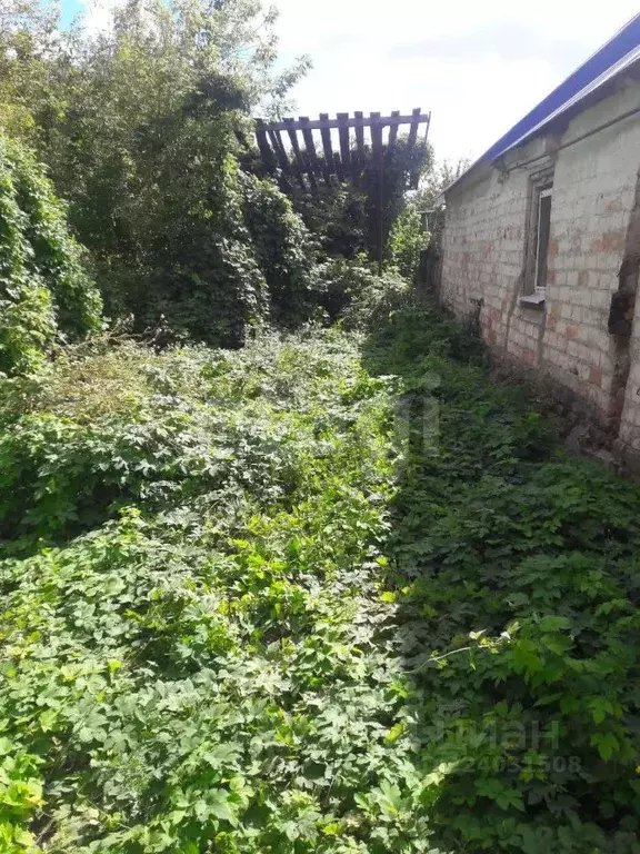 Дом в Белгородская область, Волоконовка рп, Центральный мкр  (27 м) - Фото 1