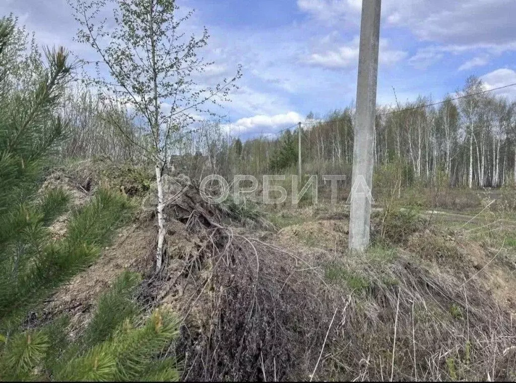 Участок в Тюменская область, Нижнетавдинский муниципальный округ, д. ... - Фото 2