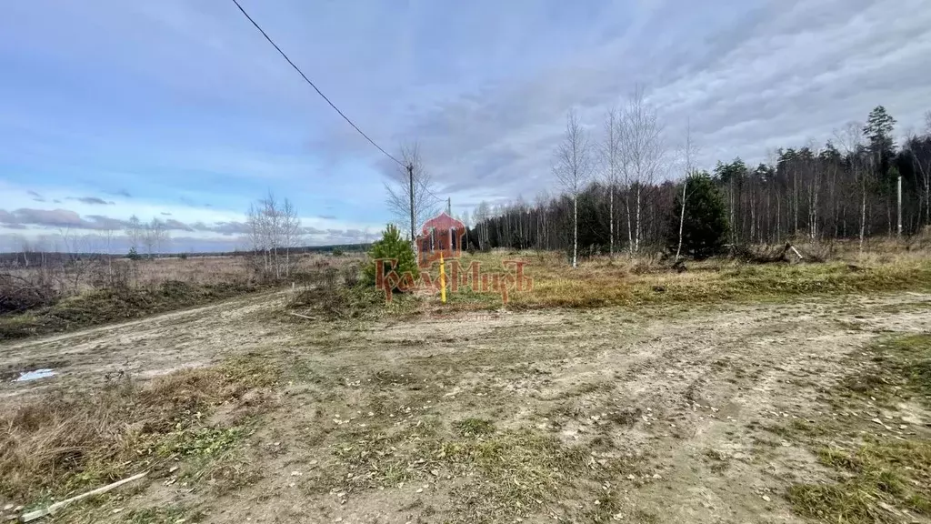 Участок в Владимирская область, Александровский муниципальный округ, ... - Фото 1