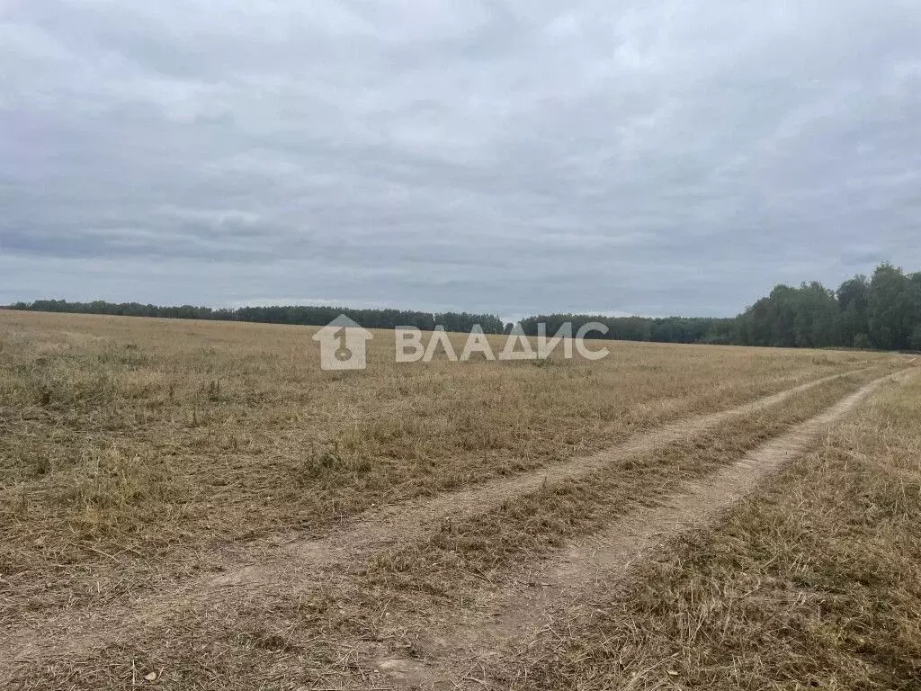 участок в владимирская область, гороховецкий район, куприяновское . - Фото 0