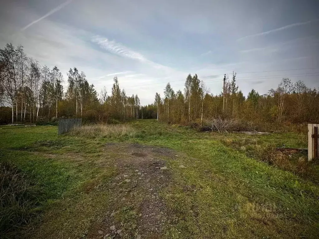 Участок в Новгородская область, Малая Вишера ул. Парковая, 3 (12.0 ... - Фото 2