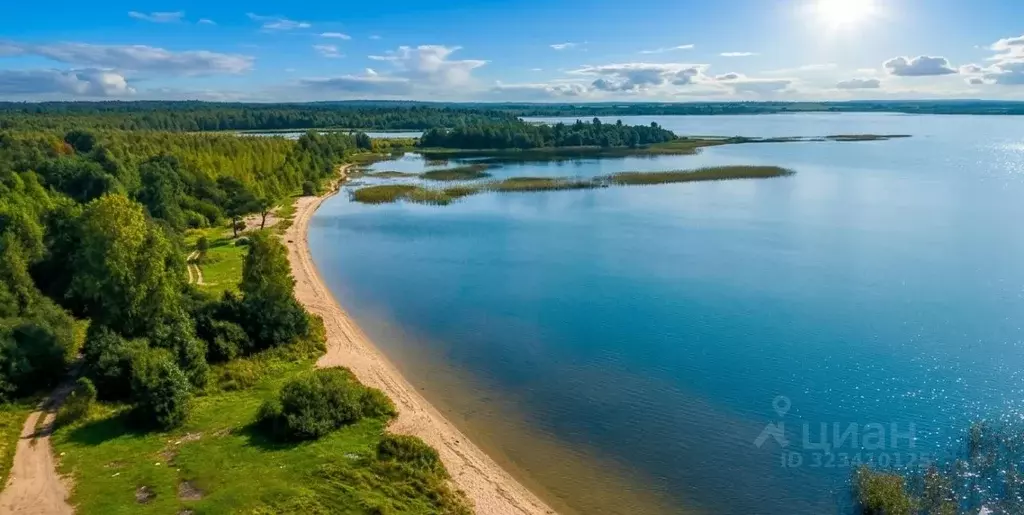 Участок в Новгородская область, Мошенской муниципальный округ, д. ... - Фото 1