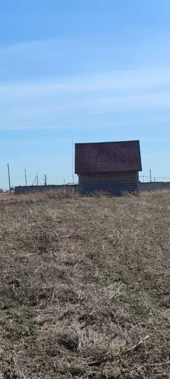 Участок в Омская область, Омский район, с. Дружино ул. Мира, 1 (12.0 ... - Фото 0
