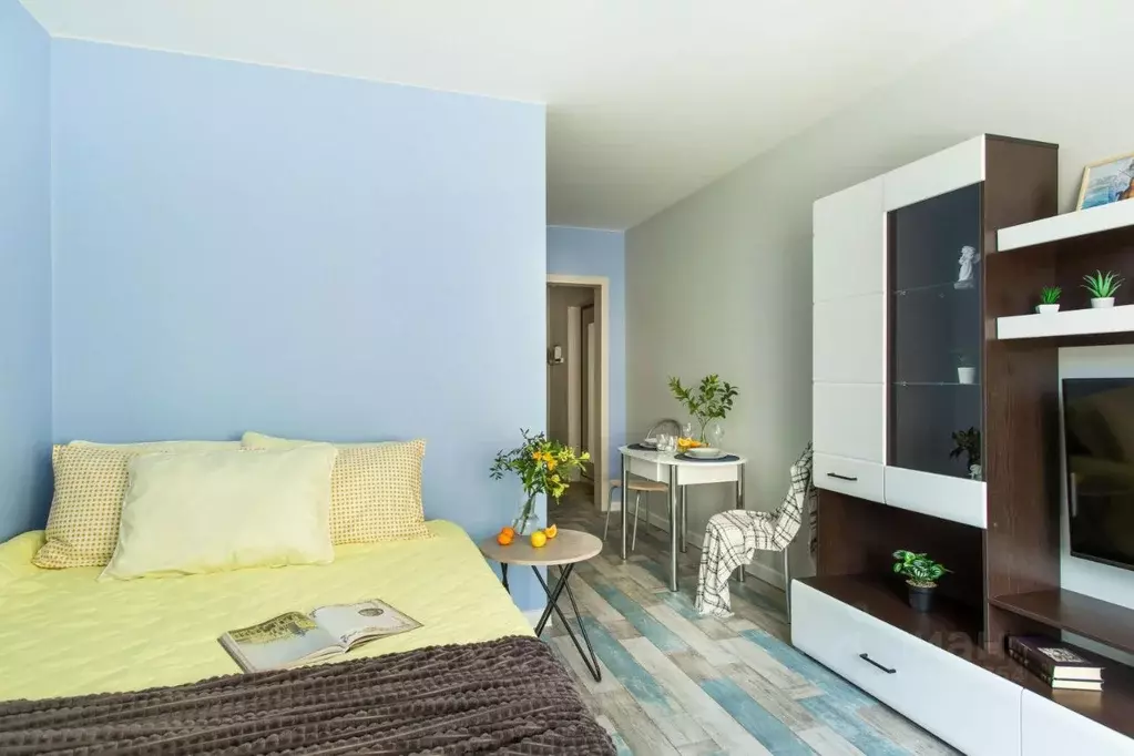1-к кв. Санкт-Петербург ул. Бабушкина, 84к2 (30.0 м) - Фото 2