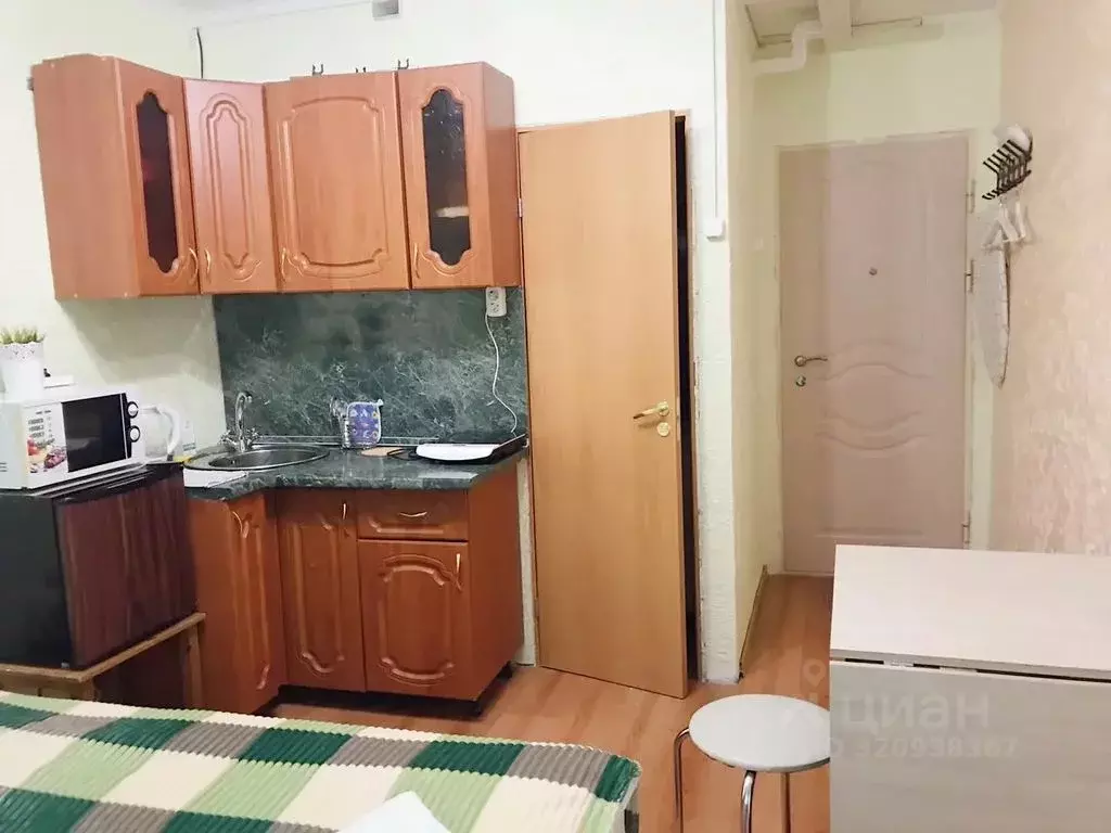 Студия Ленинградская область, Никольское Тосненский район, ... - Фото 1