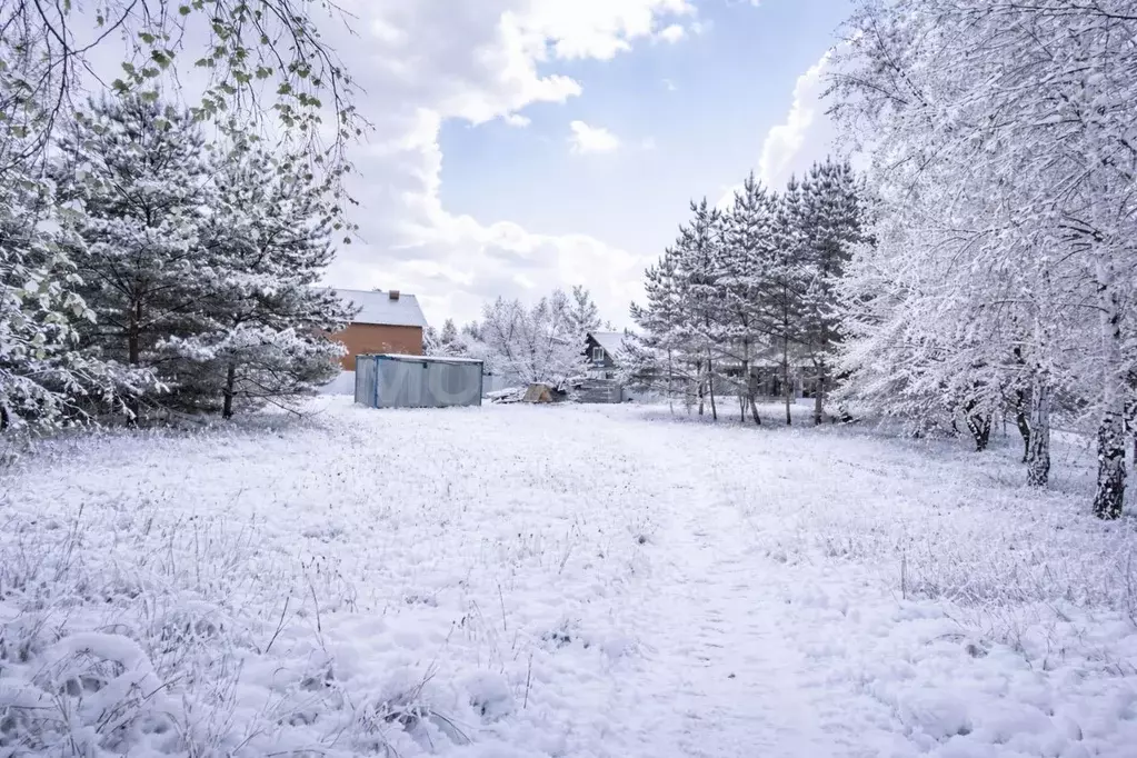 Участок в Московская область, Одинцовский городской округ, д. Бородки ... - Фото 0
