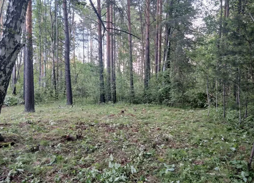 Участок в Свердловская область, Екатеринбург Изумрудный СНТ,  (6.0 ... - Фото 2