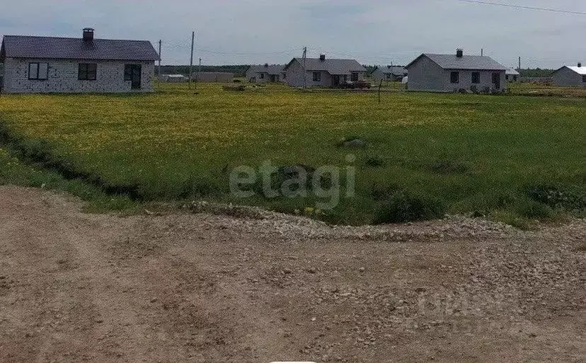 Участок в Пермский край, Краснокамский муниципальный округ, ... - Фото 1