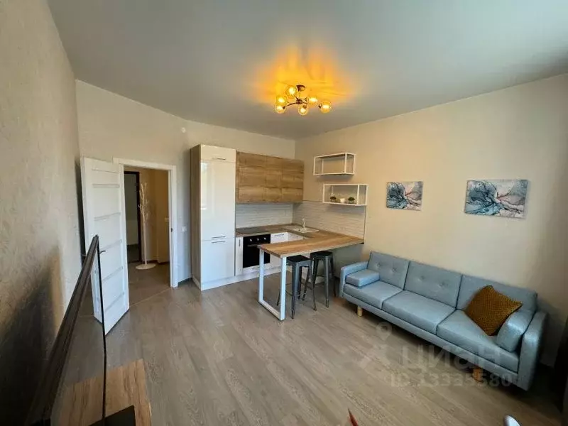 Студия Пермский край, Пермь ул. Вильямса, 5А (22.0 м) - Фото 0